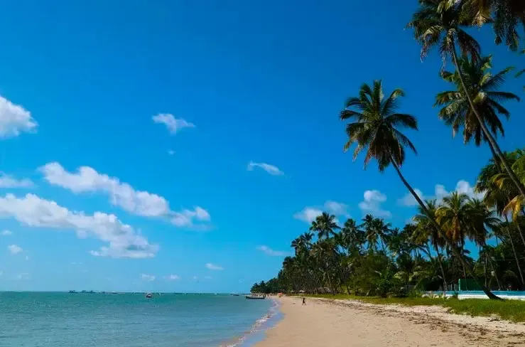 Praia dos Carneiros